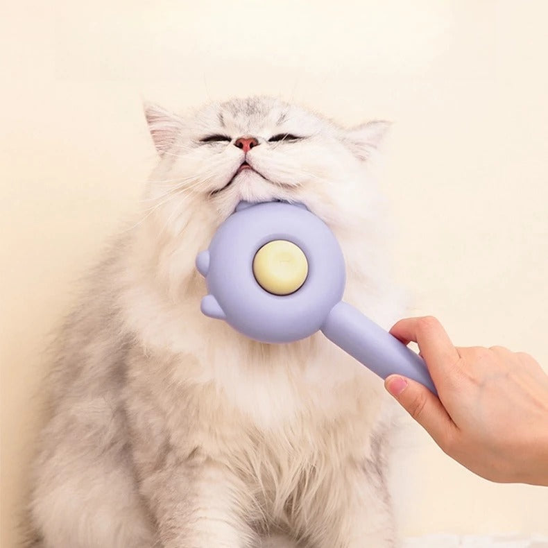 Escova Removedora de Pelos para Gatos e Cães
