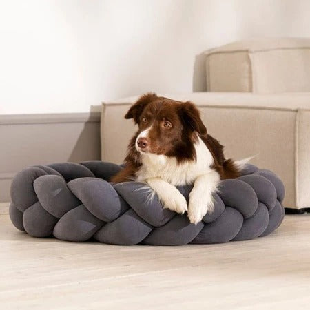 Caminha Pet Trançada com Zíper – Estilo, Conforto e Praticidade para Seu Cão