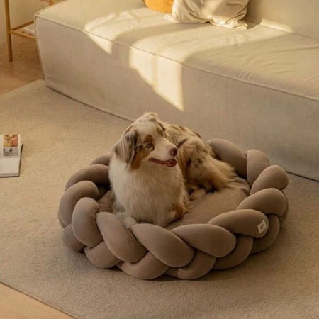Caminha Pet Trançada com Zíper – Estilo, Conforto e Praticidade para Seu Cão