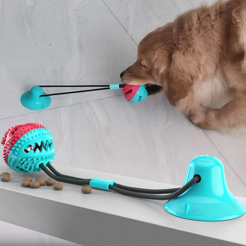 Push Ball Ventosa – Brinquedo Interativo Cabo de Guerra para Cães