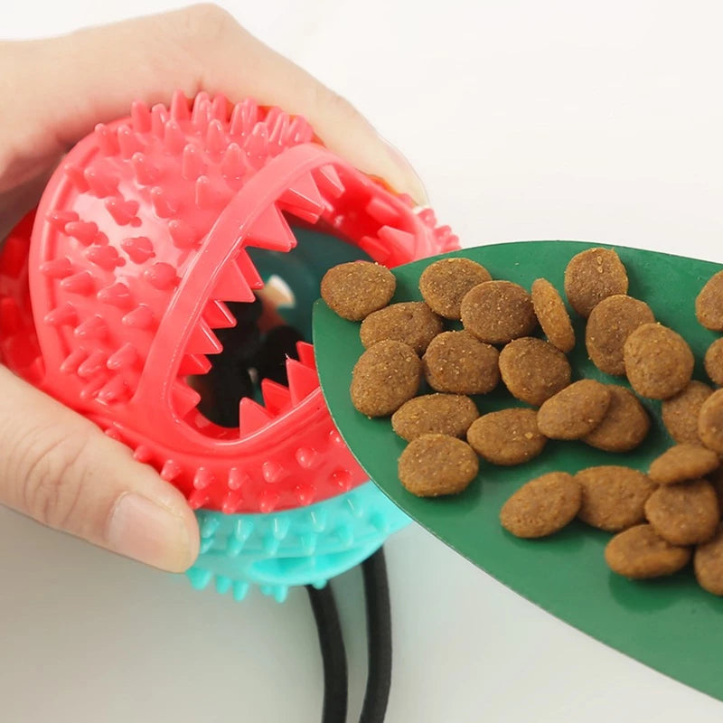 Push Ball Ventosa – Brinquedo Interativo Cabo de Guerra para Cães