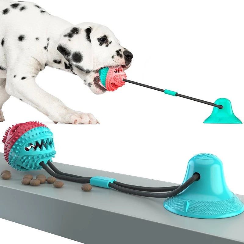Push Ball Ventosa – Brinquedo Interativo Cabo de Guerra para Cães
